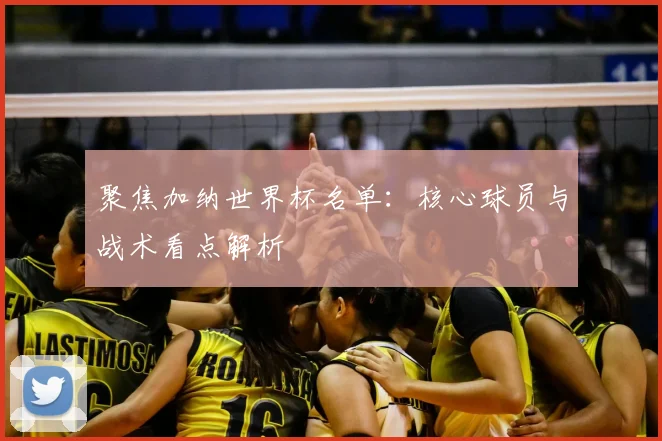 聚焦加纳世界杯名单：核心球员与战术看点解析