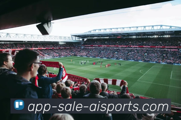 爱体育APP平台生态图